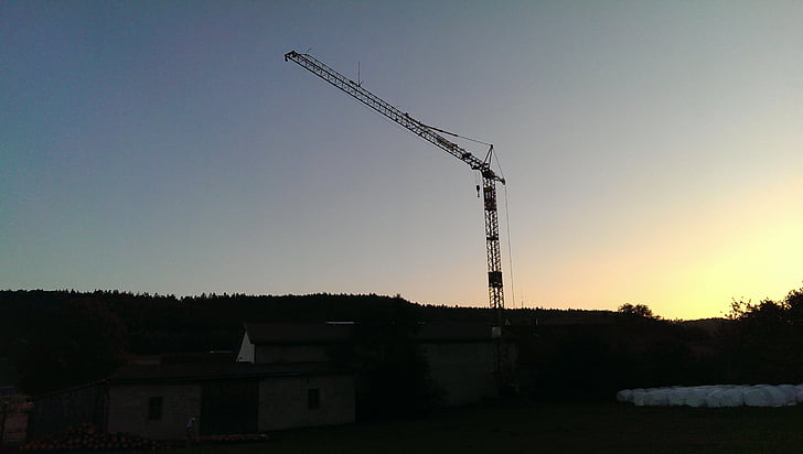 jeřáb, noční, soumrak
