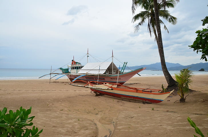 Palawan, floresta de mangue, barco, oceano, mar, praia, Seascape