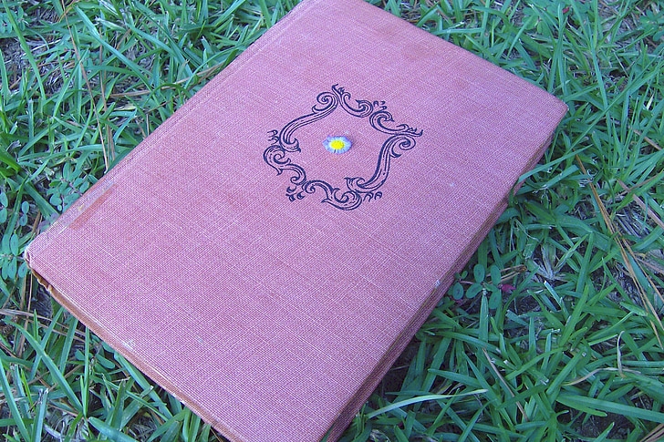 book, grass, nature, vintage, lilac, violet