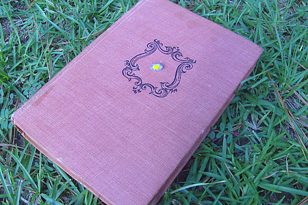 Книга, трава, Природа, Вінтаж, Бузок, фіолетовий