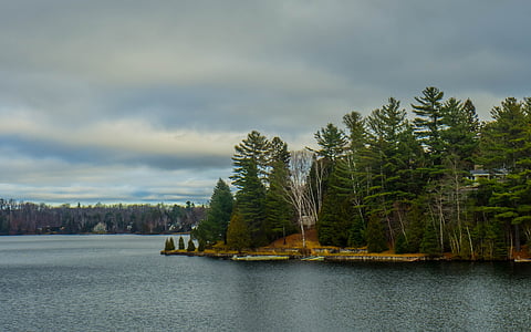 Lago, foresta, Canada, Laurentians, paesaggio