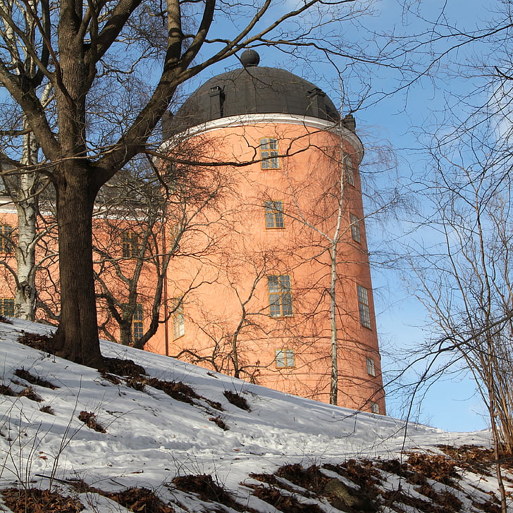 Castelul Uppsala, Uppsala, Castelul, iarna, roz, Suedia