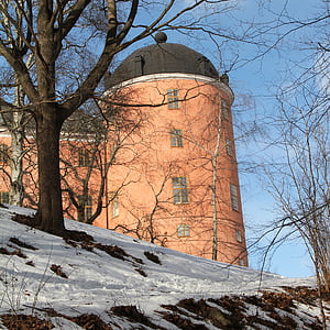 Uppsala hrad, Uppsala, hrad, Zimní, růžová, Švédsko