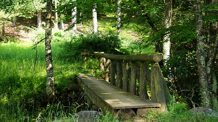 Brücke, Dolly, Grassoden, Wildnis, Virginia, aus Holz, Wald