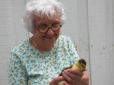 woman, old, old woman, duck, little duck, happy, elderly woman