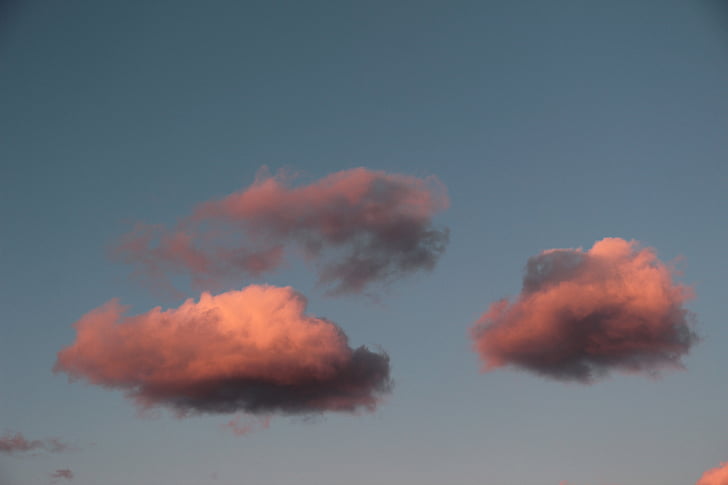 雲, ローザ, サンセット, 空