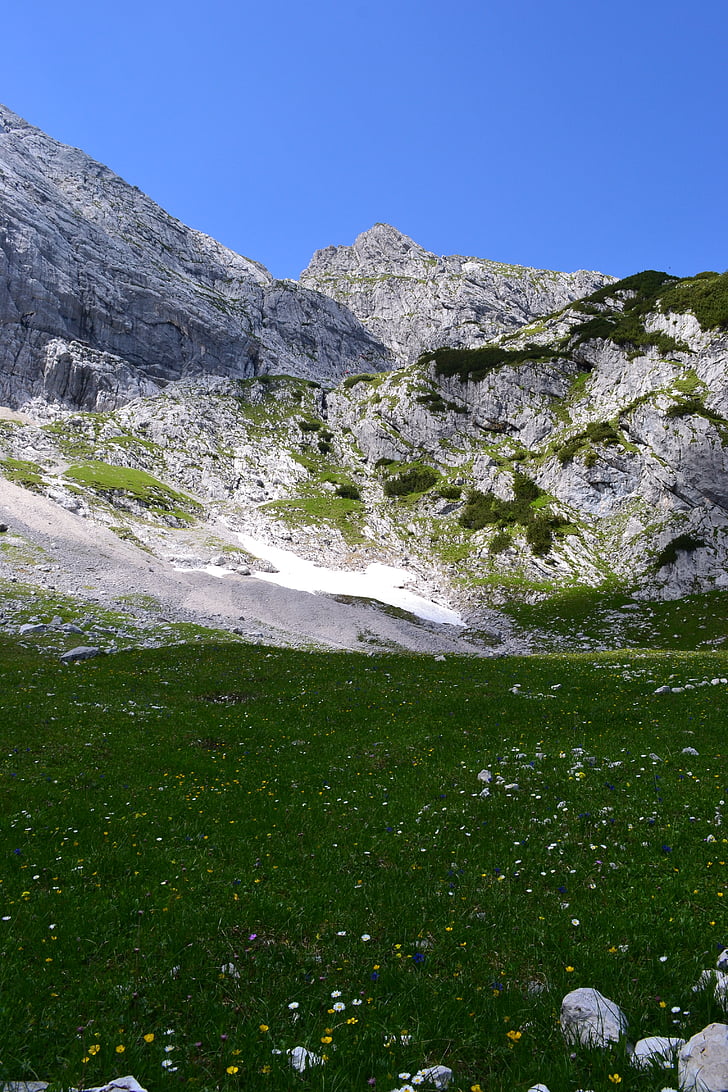 alpin, alfabetul, Lunca, natura, Munţii, peisaj montan, Mountain meadow