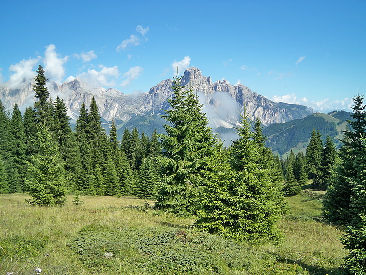 Mountain, natur, Prato, landskab, træer, vandreture