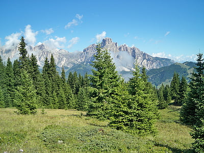Mountain, naturen, Prato, landskap, träd, vandring
