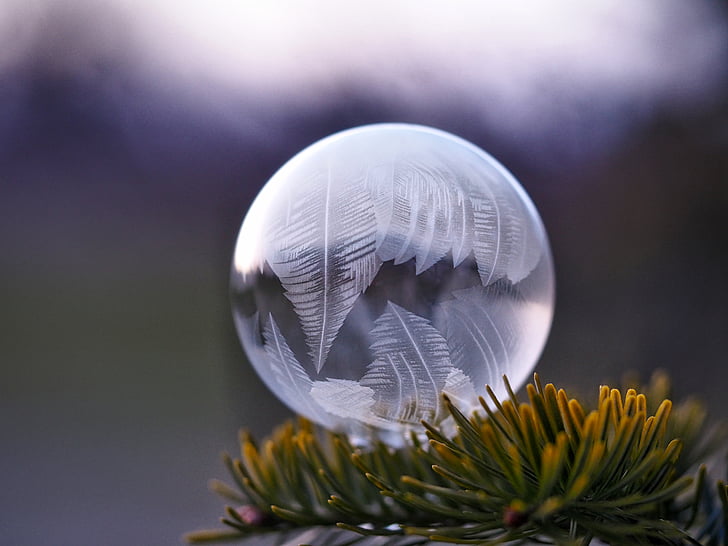 palla, cerchio, rotondo, bianco, vetro, pianta, sfera di cristallo