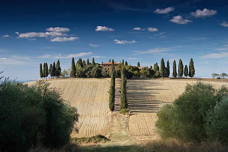 Tuscany, Italia, bidang, padang rumput, pemandangan, indah, pertanian