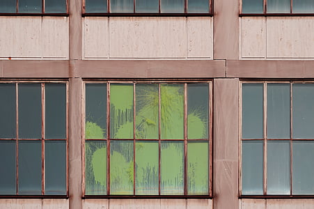 finestra, subfinestres, fusta, vidre, pintura, cruixit, verd