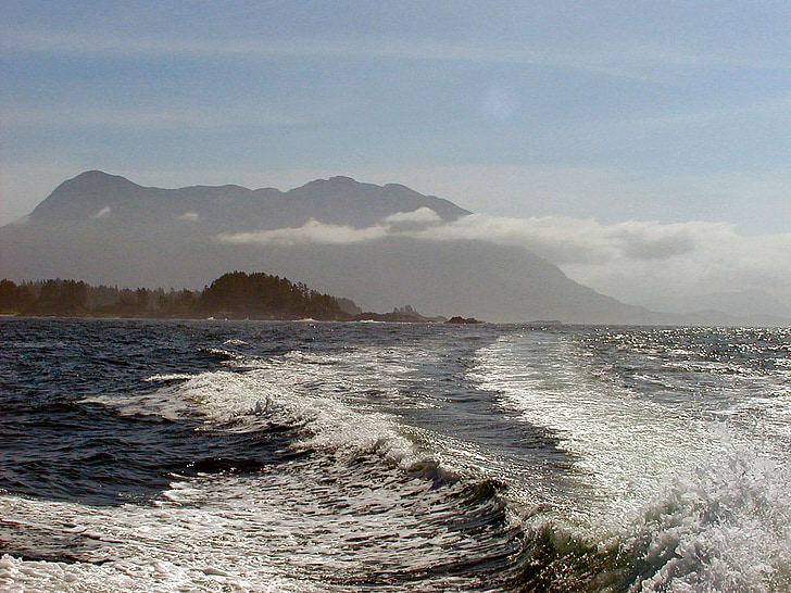 boottocht, golven, Stille Oceaan, Vancouver island, Brits-columbia, Canada, landschap