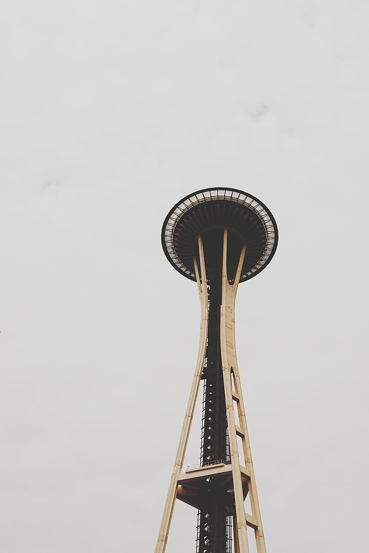 brown, black, space, needle, low angle view, no people, day