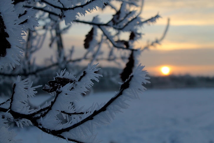 musim dingin, pagi, matahari terbit