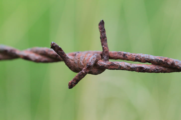 alambre de púas, alambre, cerca de, metal, oxidado, riesgo, espina