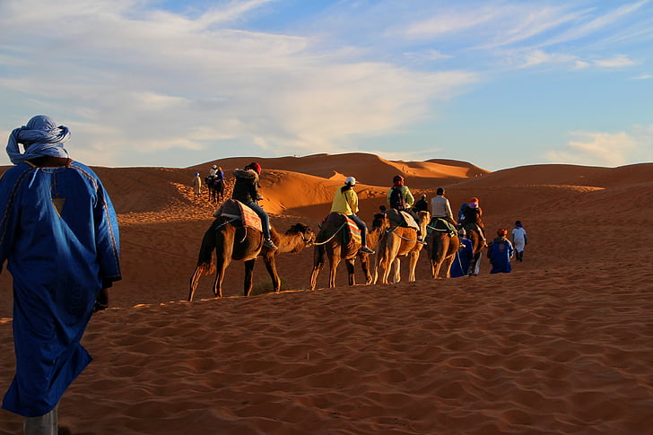 viagem, aventura, caravana de camelos, Sahara, areias douradas, viajando, Marrocos