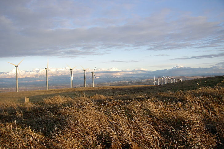 vent, turbines, electricitat, poder, elèctric, netejar, energia