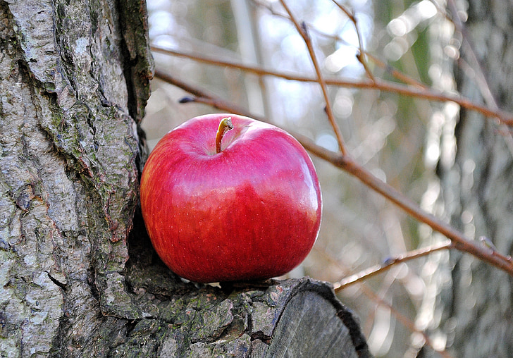 jabolko, sadje, vitamini, na zdravje