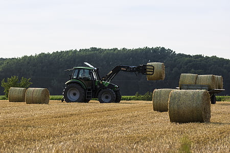 tractor, harvest, straw, bauer, agriculture, fields
