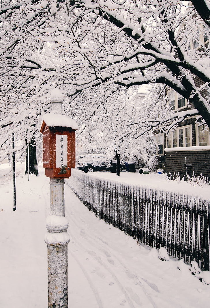 sneg, pozimi, hiše, nabiralnik, drevo, podružnica, bela