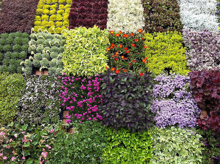 bloemen, markt, lente, bloemen was, Zuid-Tirol, Bozen, groen