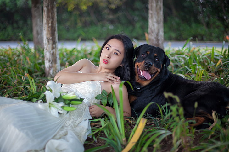 Rottweiler, pies, Suknie ślubne, trawnik, Lily, dziewczyn, długie włosy