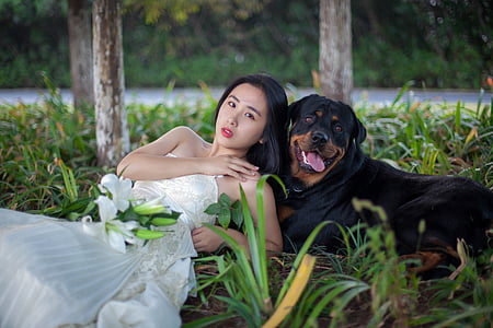 Rottweiler, kutya, esküvői ruhák, gyep, liliom, lányok, hosszú haj