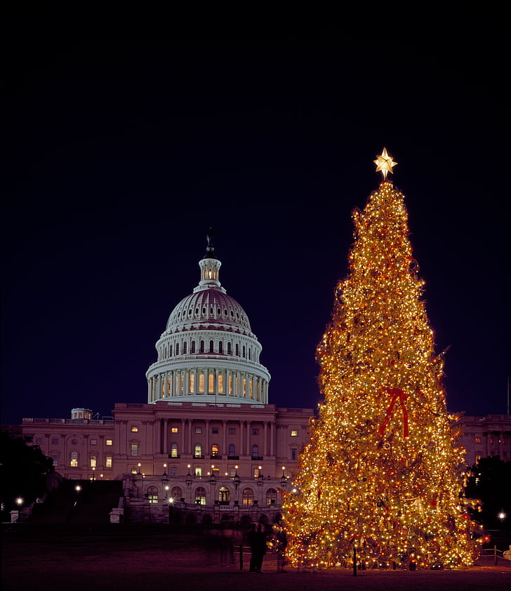 Коледа, дърво, Капитол, сграда, правителство, Вашингтон, САЩ