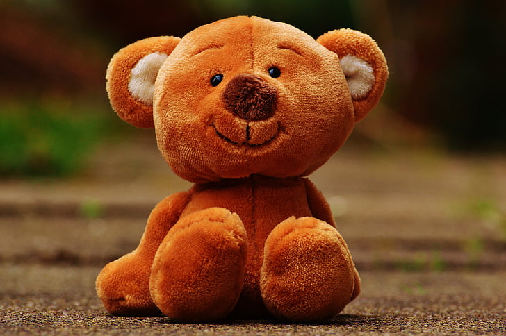 medveď, Teddy, Plyšová hračka, Plyšák, medveď hnedý, deti, zviera