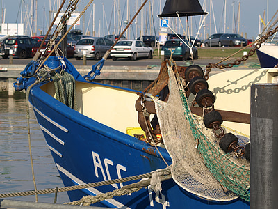 cortador de, camarão, Porto, navio de pesca, Mar do Norte, accumersiel, pesca