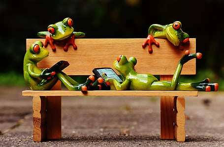 frogs, computer, bank, bench, relaxed, figure, funny