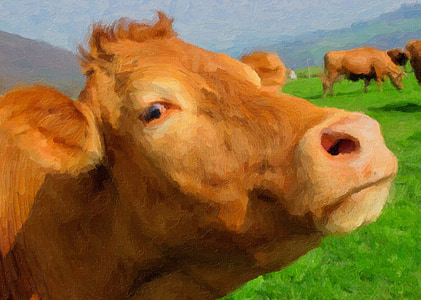 pemandangan, lukisan cat minyak, sapi