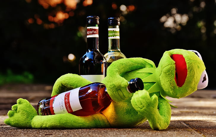 Kermit, žába, víno, nápoj, alkohol, opilý, odpočinek