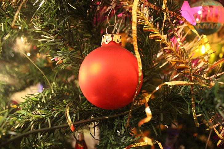 pohon Natal, Natal, Ornamen, dekorasi Natal, jarum