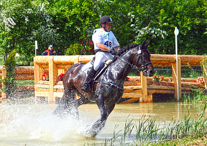 versatility, ride, versatility examination, eventing, military-horse riding, horse, obstacle