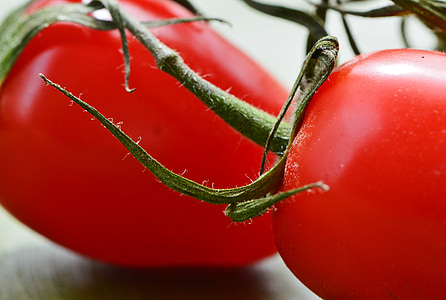 tomater, grönsaker, makro, röd, mat, trädgård, friska