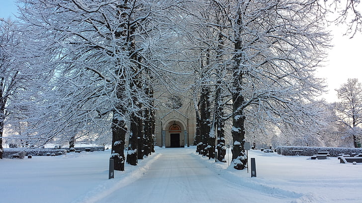 avenue, church door, winter, delsbo, road, snow, tree