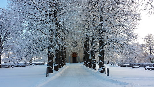 Avenida, puerta de la iglesia, invierno, Delsbo, carretera, nieve, árbol
