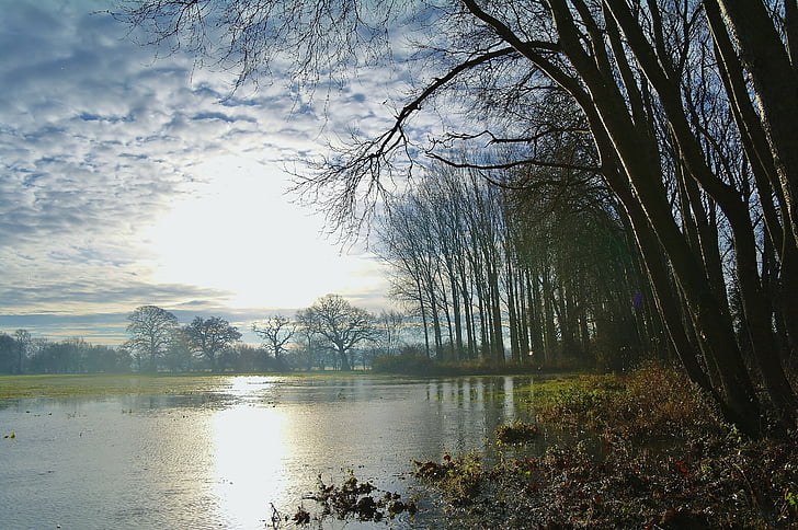 flood, flooded, frost, winter, fields, countryside, country