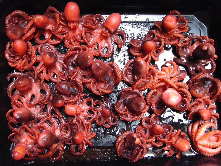octopus, food, kitchen