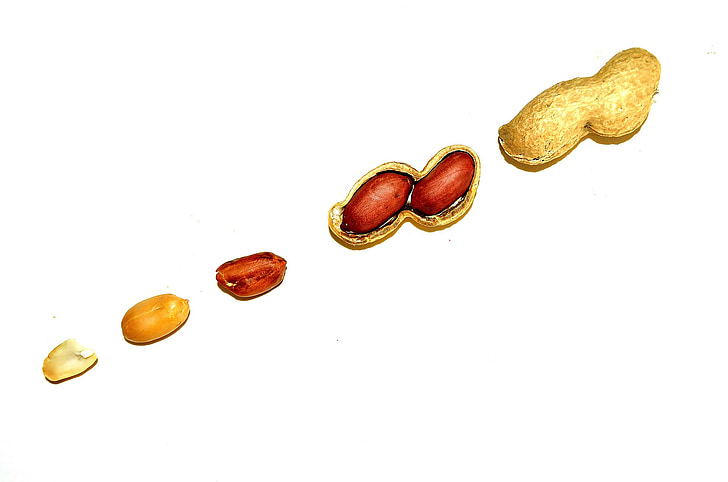peanuts, background, nuts, shelled, peeled, food, macro