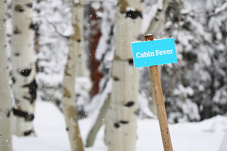 snow, winter, signage, trunk, adventure, view, bokeh