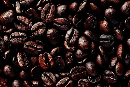 hara, café, haba, de la asación, cafetera de goteo, Espresso, café