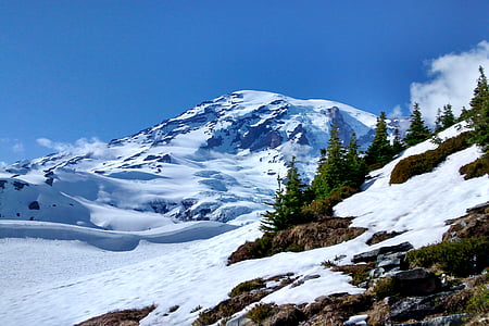hegyi, Rainier, Washington, táj, természet, festői, Mount