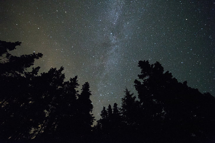 constellation, dark, evening, exploration, low angle shot, night, outdoors