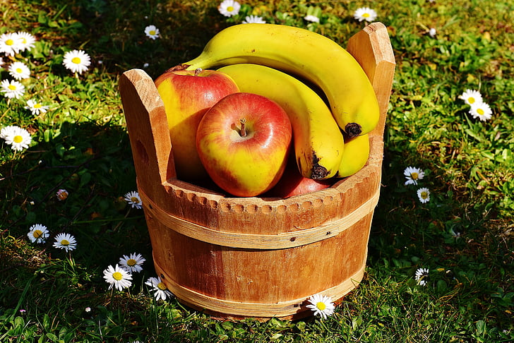 바구니, 나무, 과일, 과일 바구니, 과일, 애플, 바나나
