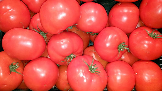 pomidory, Frisch, jedzenie, warzywa, czerwony, jeść, zdrowe