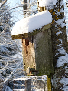 birdhouse, snow, winter, forest, tree, tribe, sky