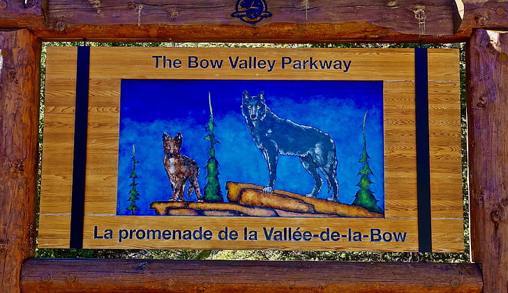 Bow valley, Kanada, tecken, resor, berömda, landmärke, Banff